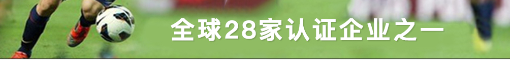 人造草坪 FIFA 會員企業(yè)